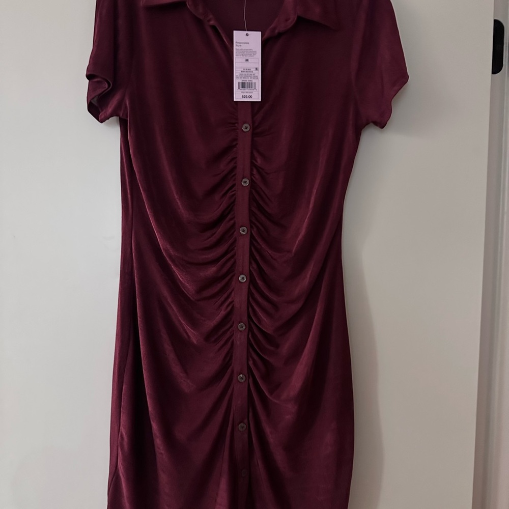 Wild Fable Maroon Button-Down Mini Dress